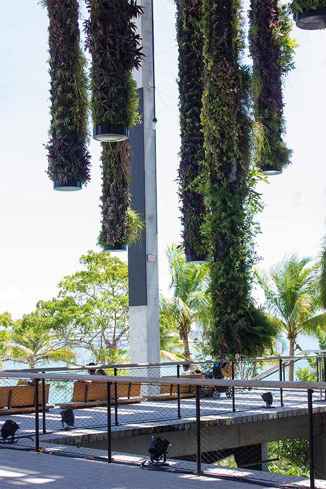 Landscaped architetcure and garden design in Miami, Florida