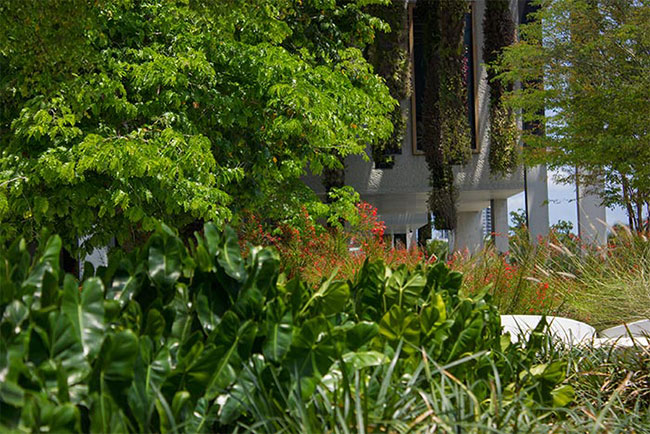 Landscaped architetcure and garden design in Miami, Florida