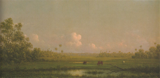 Landscapes in Florida